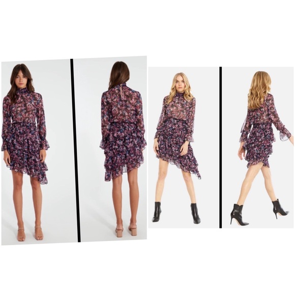 MISA Los Angeles Savanna Asymmetrical Mini Dress Ditsy Multi Ruffle Romantic S - Picture 6 of 17